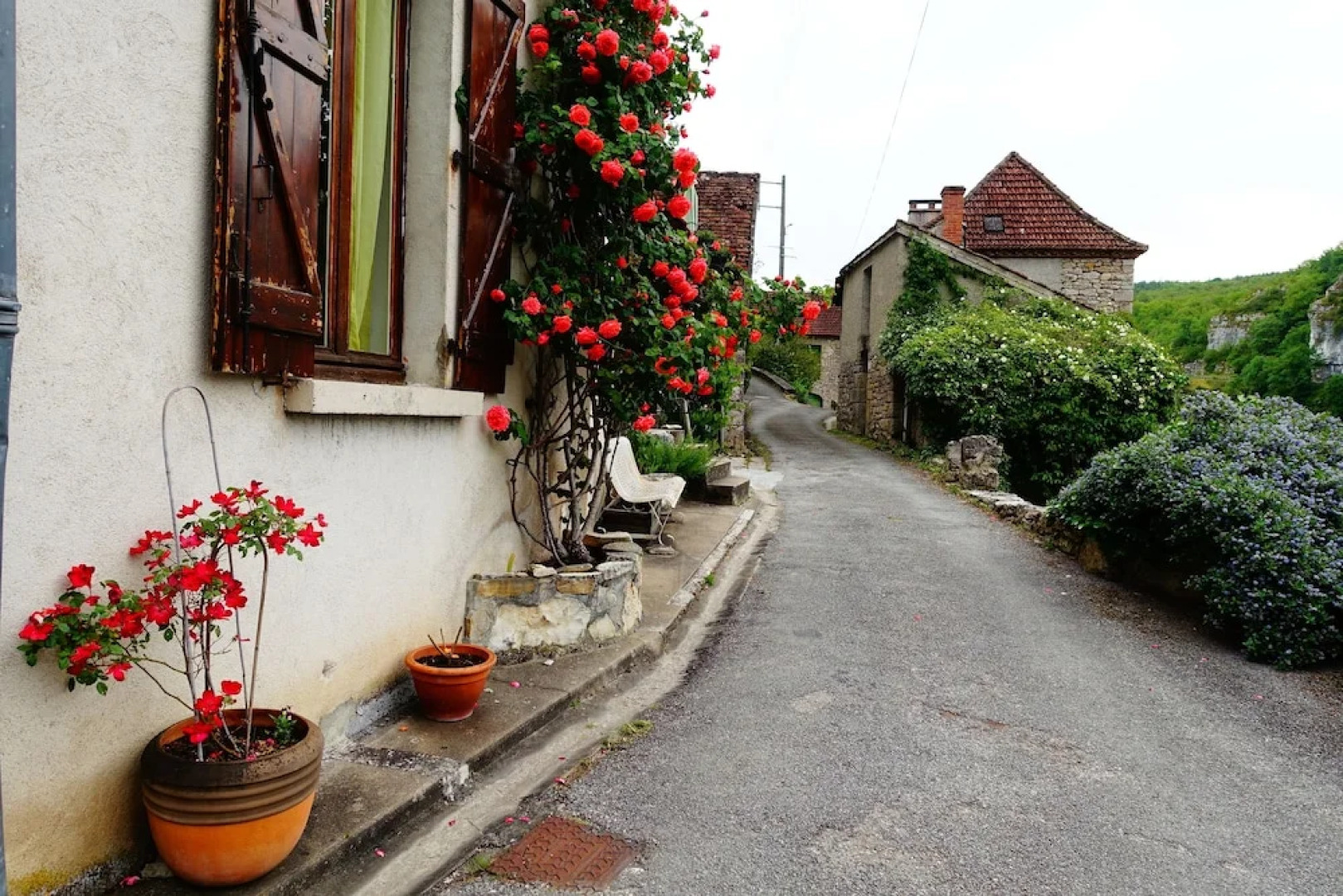 Un jardin dans la falaise