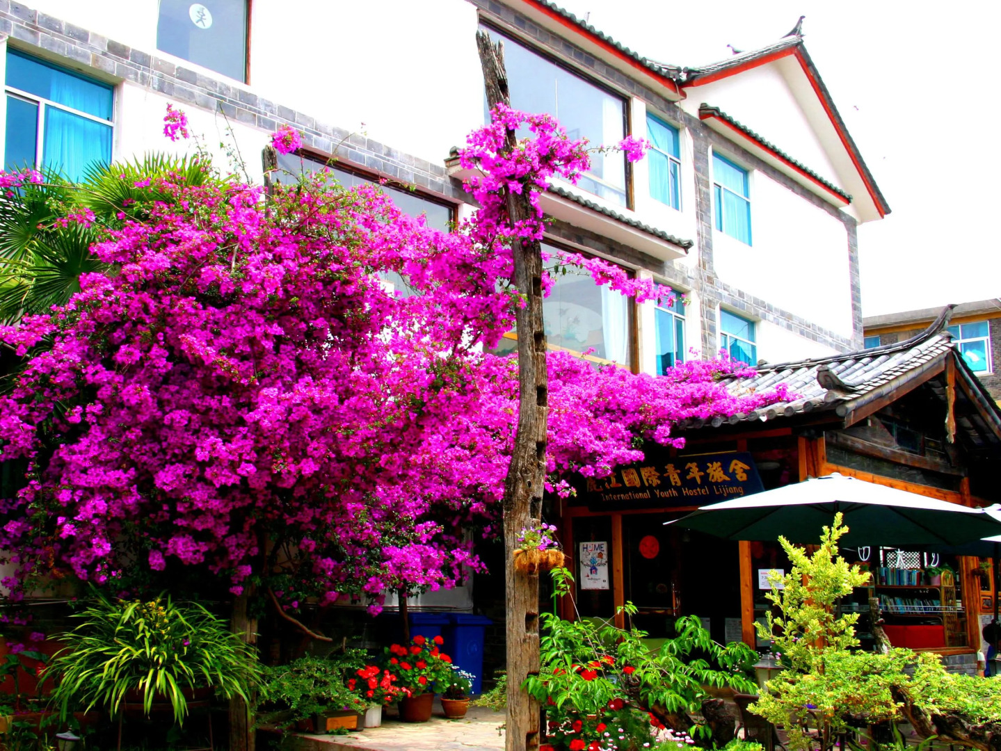 Lijiang International Youth Hostel