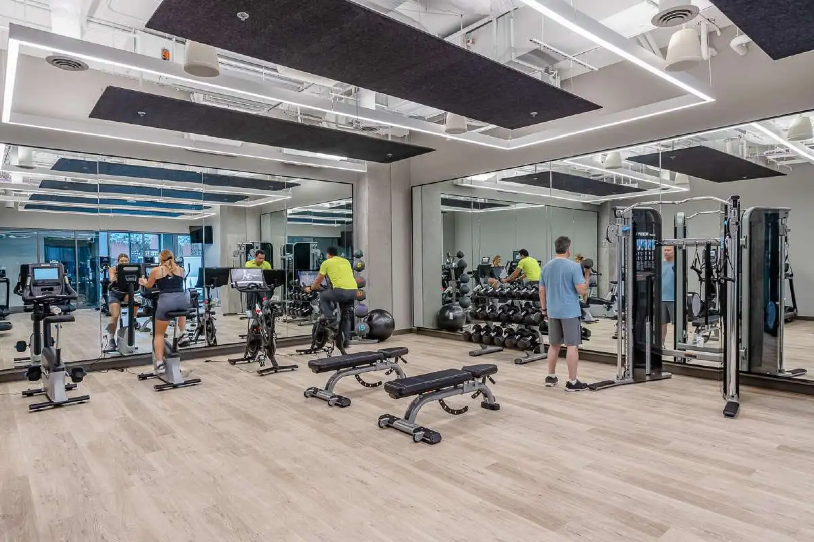 Shashi Hotel Mountain View Palo Alto