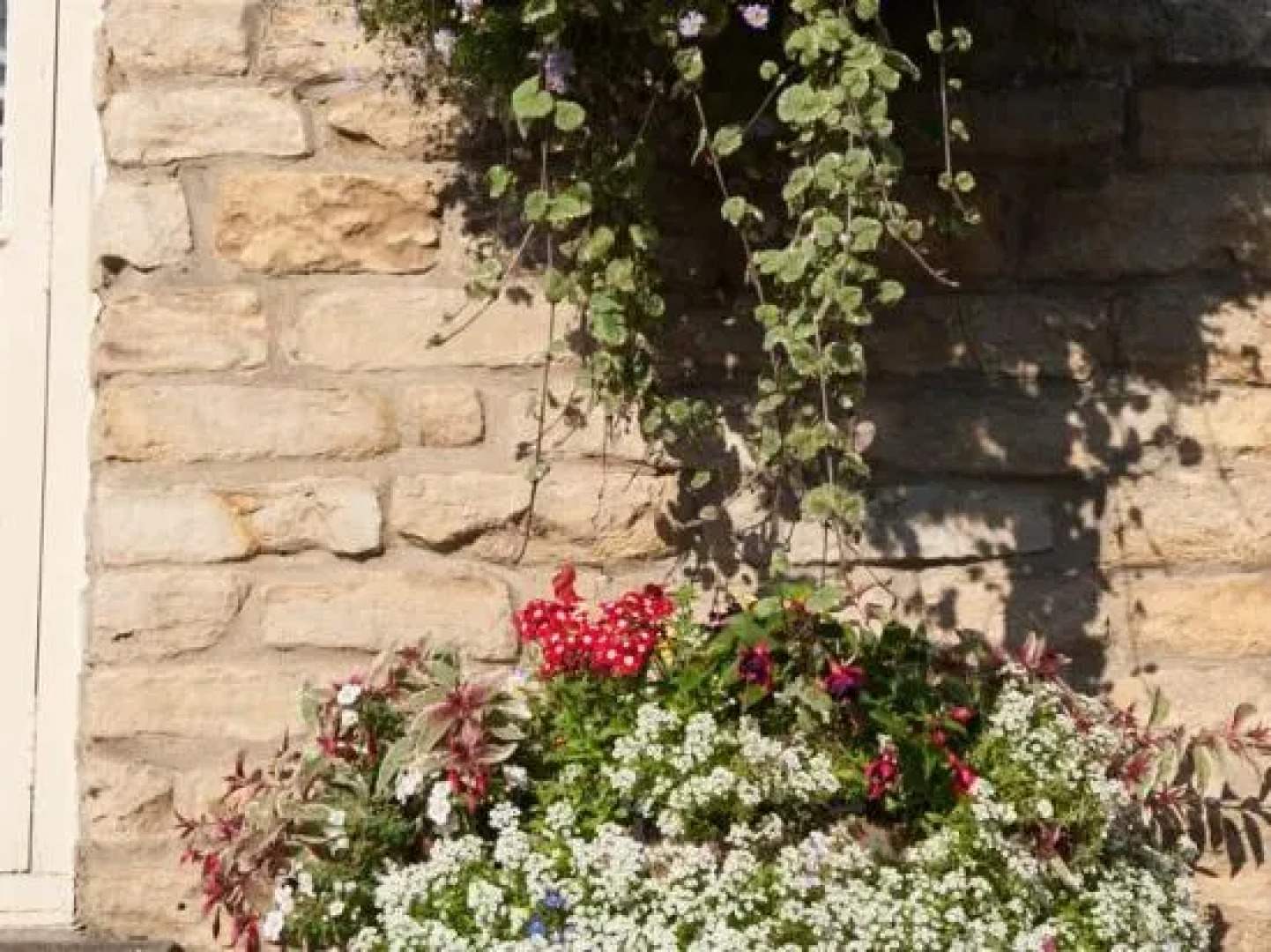 The Fox and Coney Inn