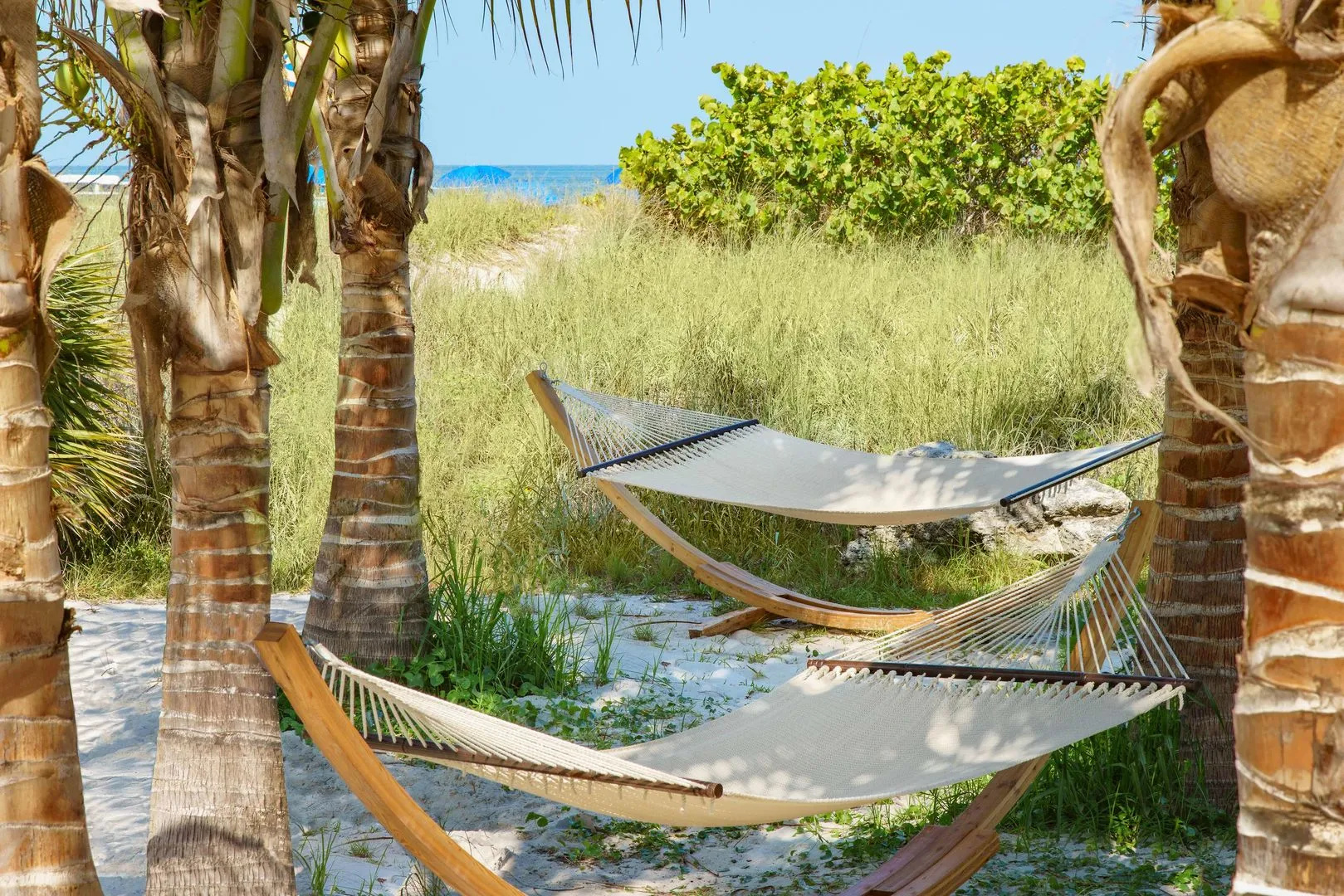 Hilton Garden Inn St. Pete Beach
