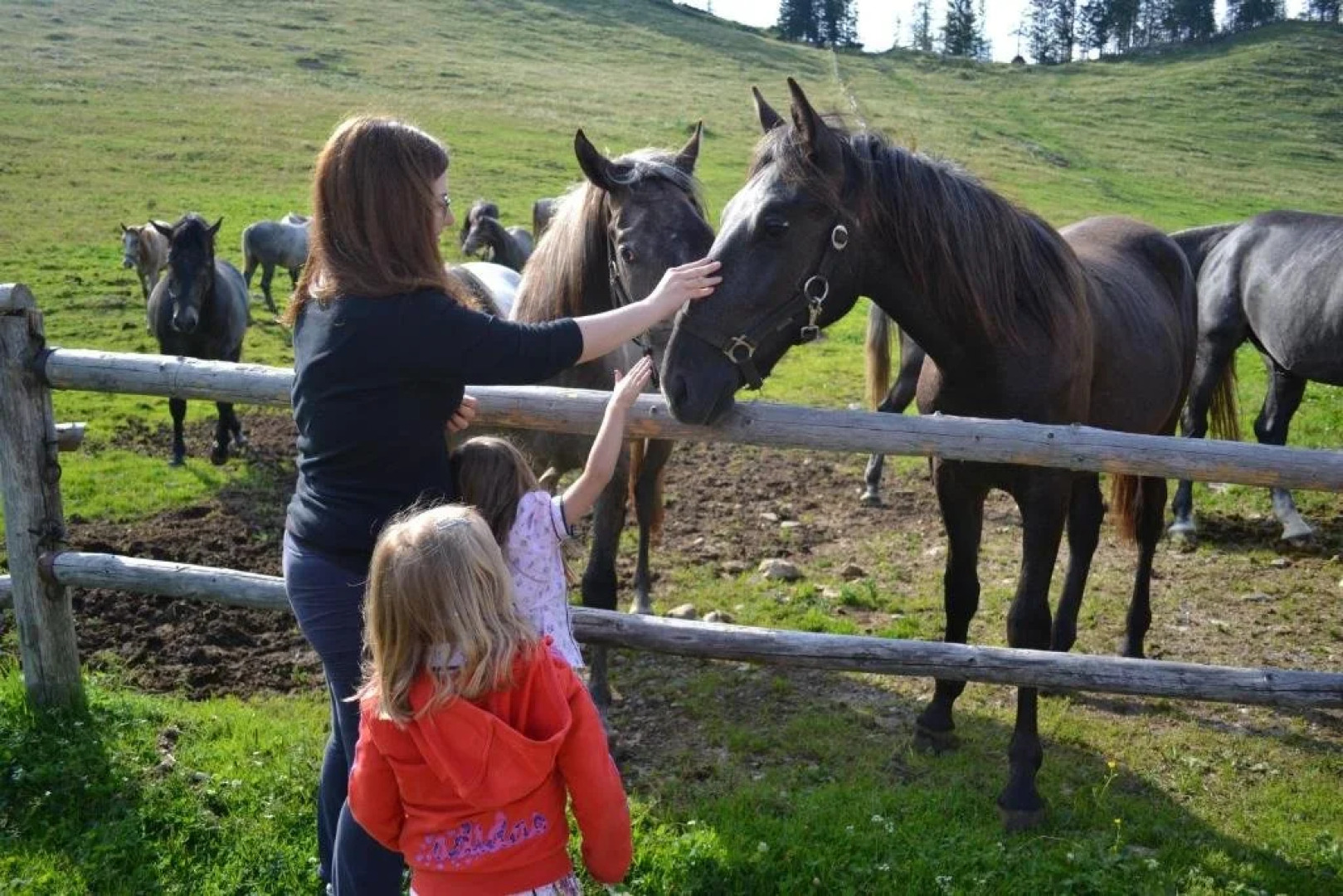 Wirtshaus Altes Almhaus