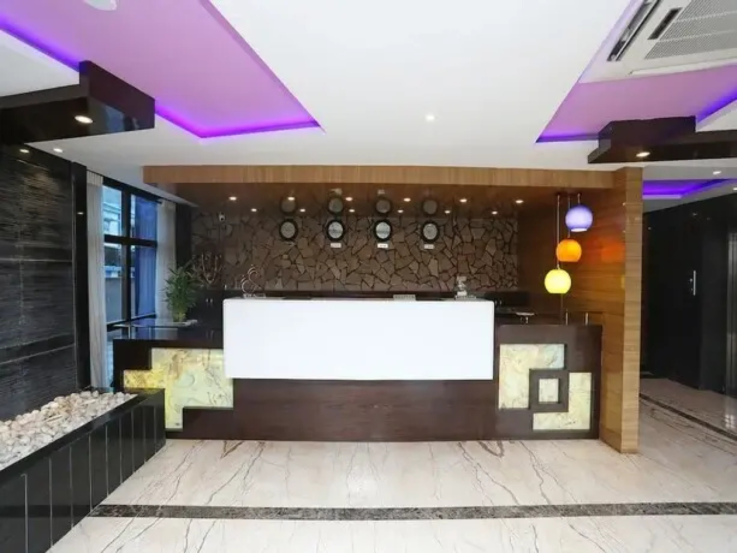 Dolphin Chocolate Inn