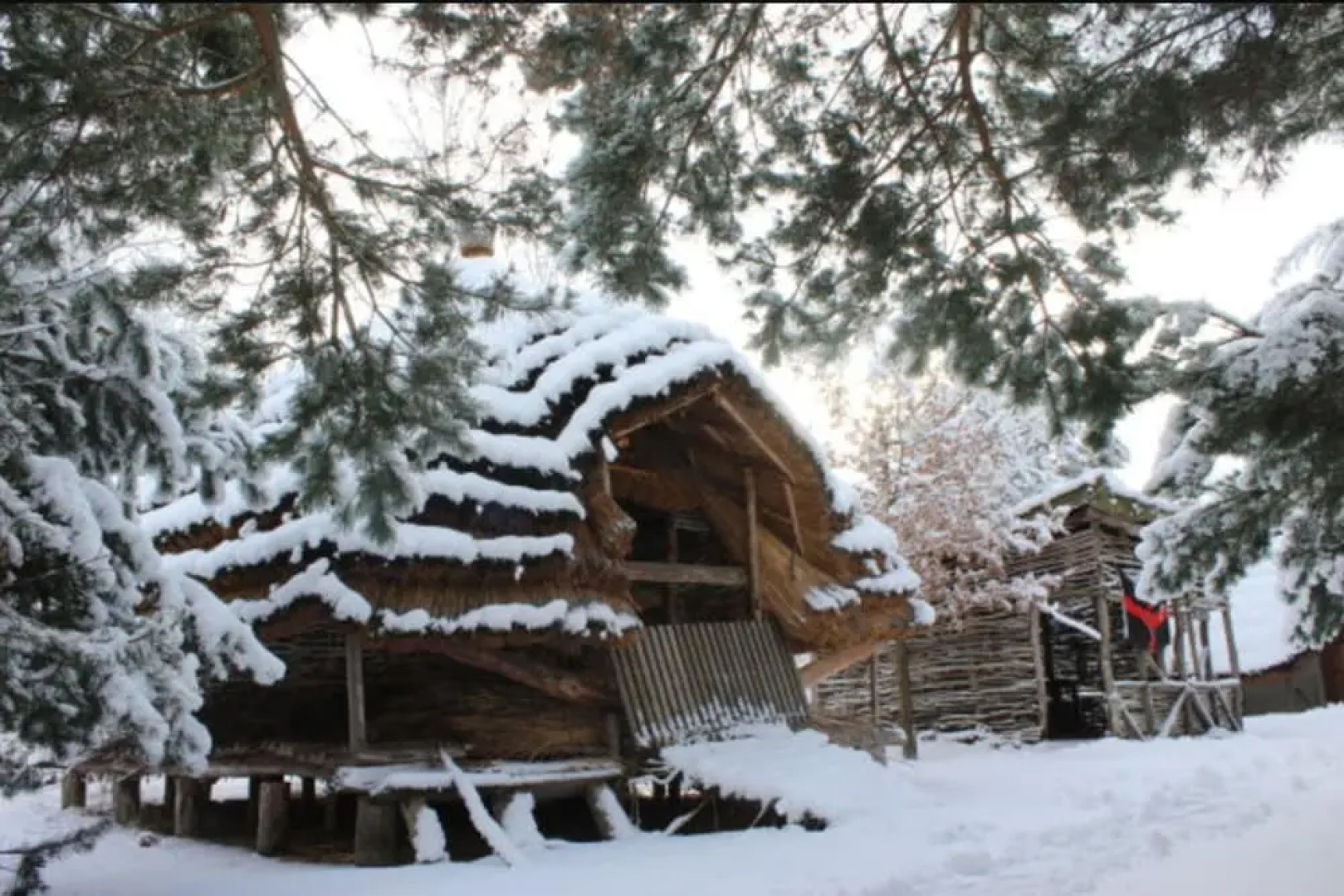 Ferienhäuser am Koynesee
