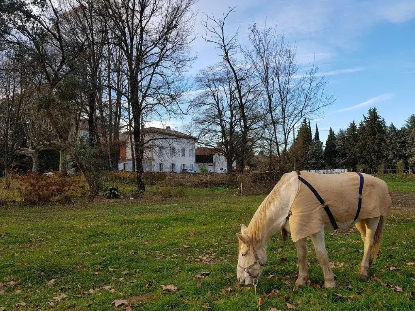 Mas De Bruguerolle - Maison d'hôtes