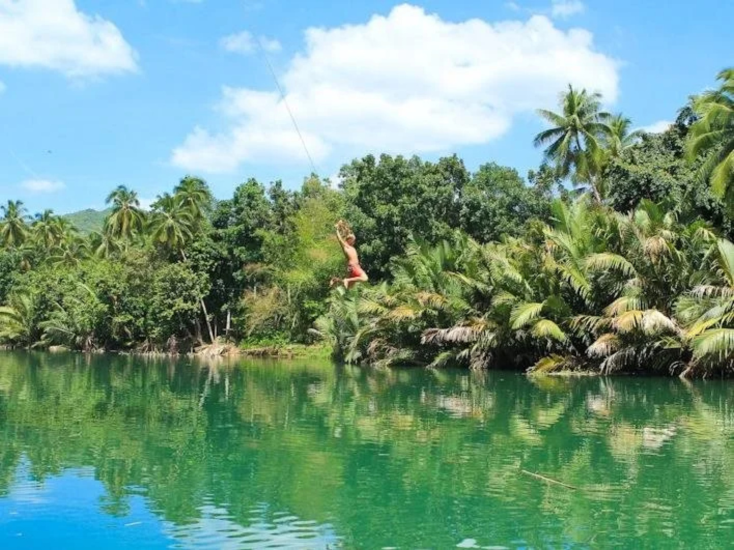 Fox & The Firefly Cottages