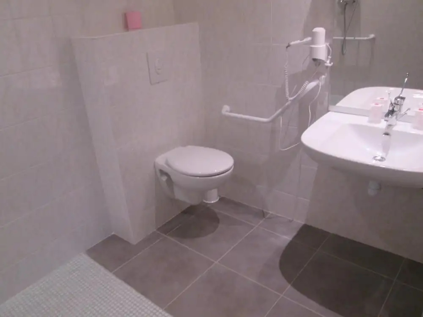 Logis Hotel Theodore