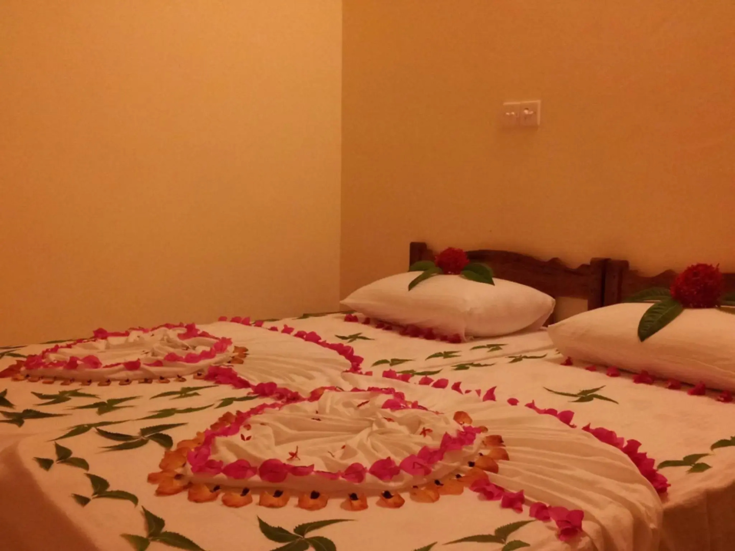 Fima Guesthouse