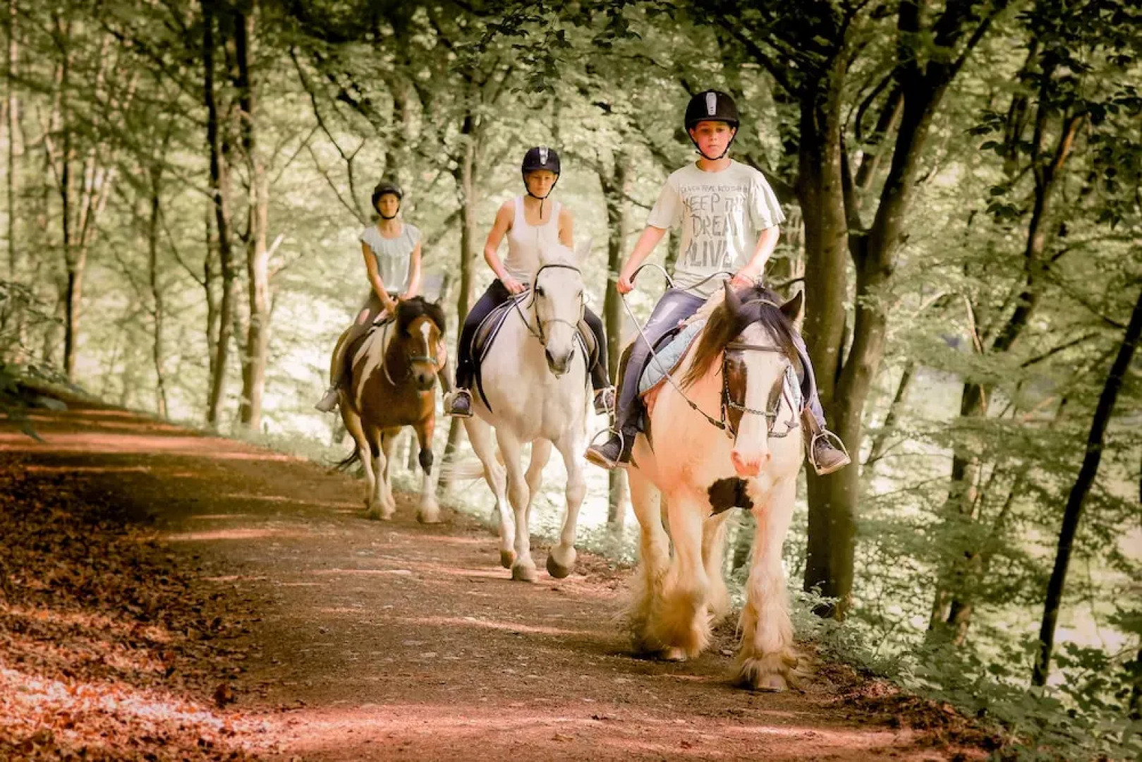 Nengshof - Haus Ehrenpreis