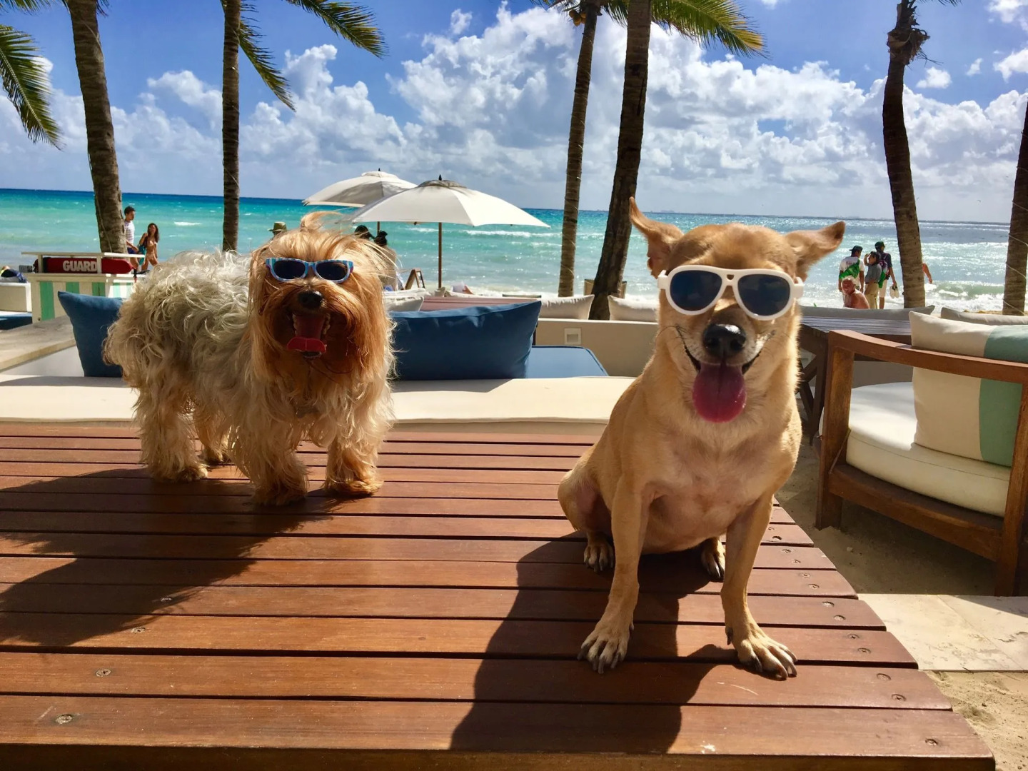 Thompson Playa Del Carmen Beach House