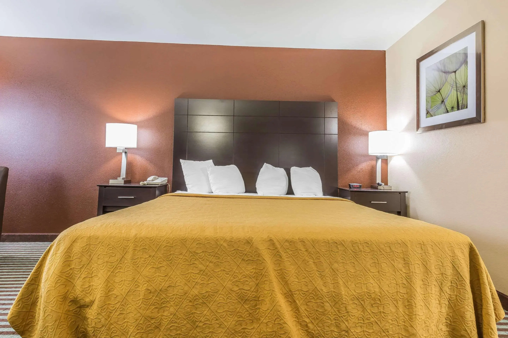 Quality Inn Mount Vernon, IL