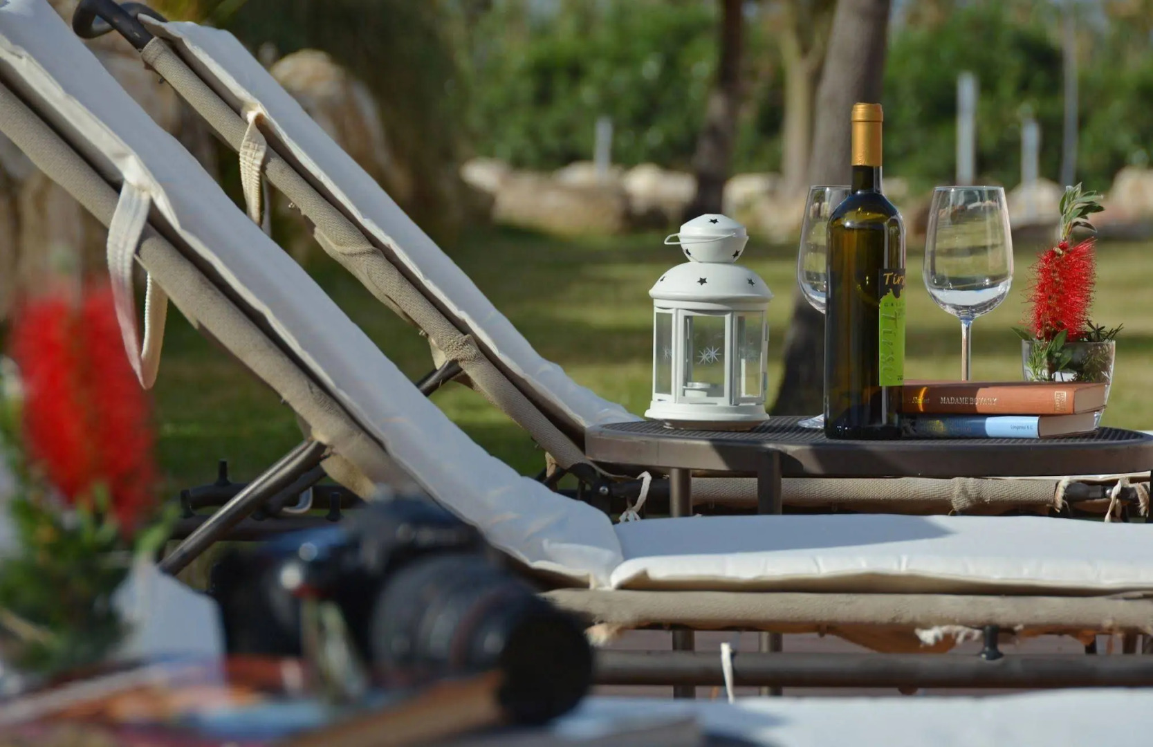 Tenute Plaia Agriturismo