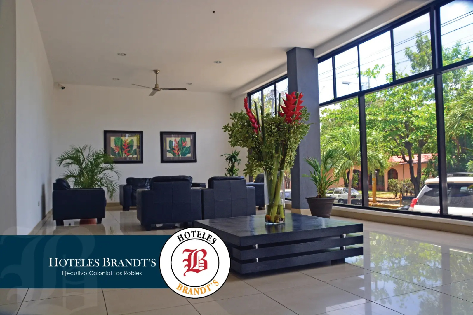 Hotel Brandt Ejecutivo Colonial Los Robles