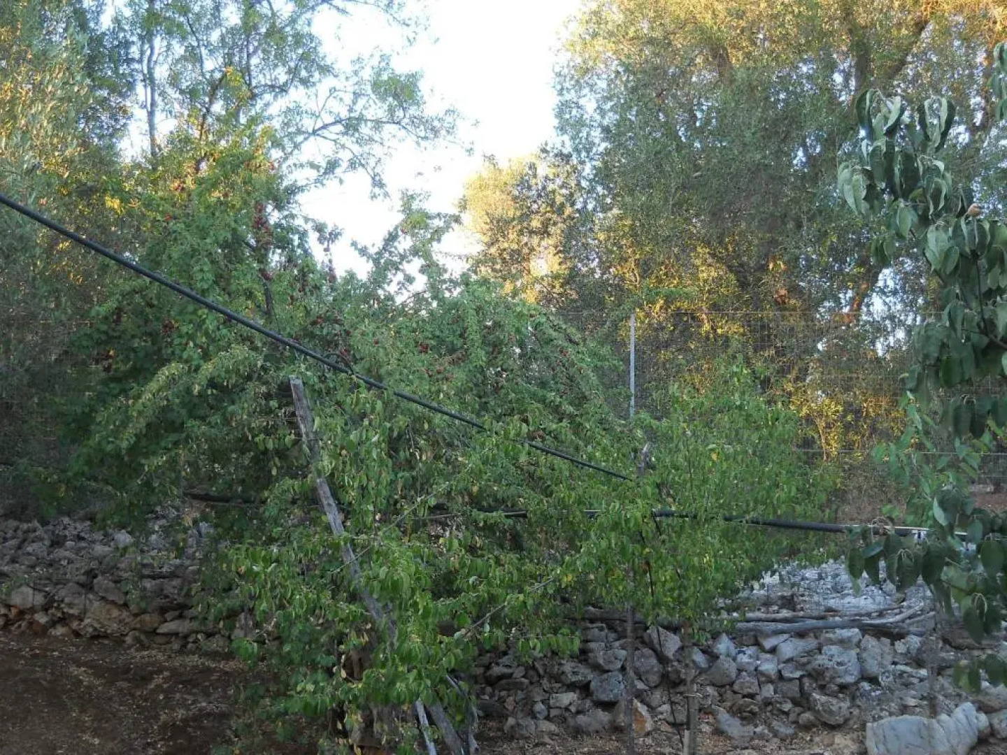 Villa Conte in Salento