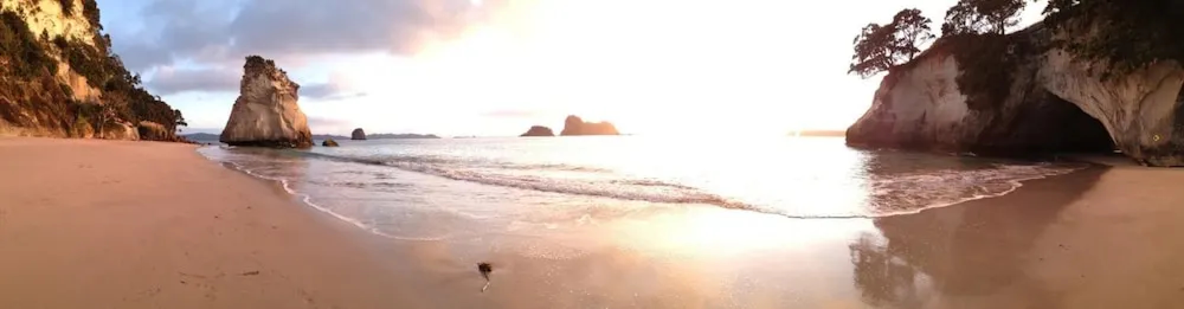 Tatahi Cove - Hostel