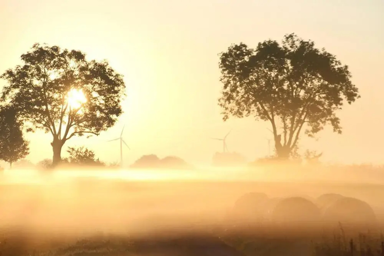 Ferienwohnung Uckerseen