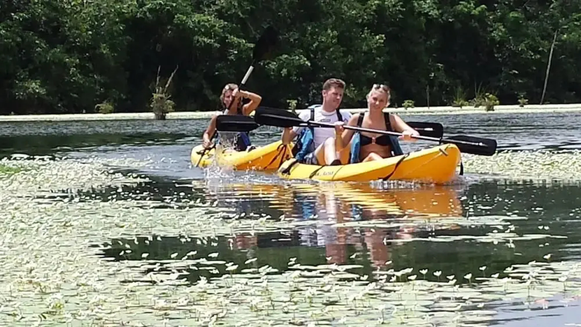 Mayan World Adventures