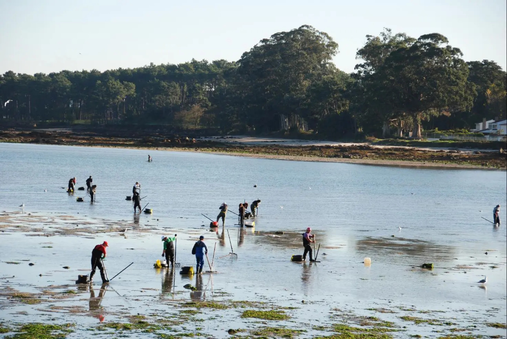 Nuevo Villa Juanita Hotel