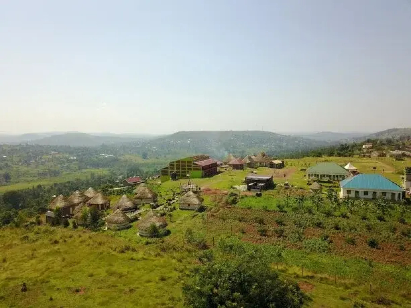 The Social Innovation Experience