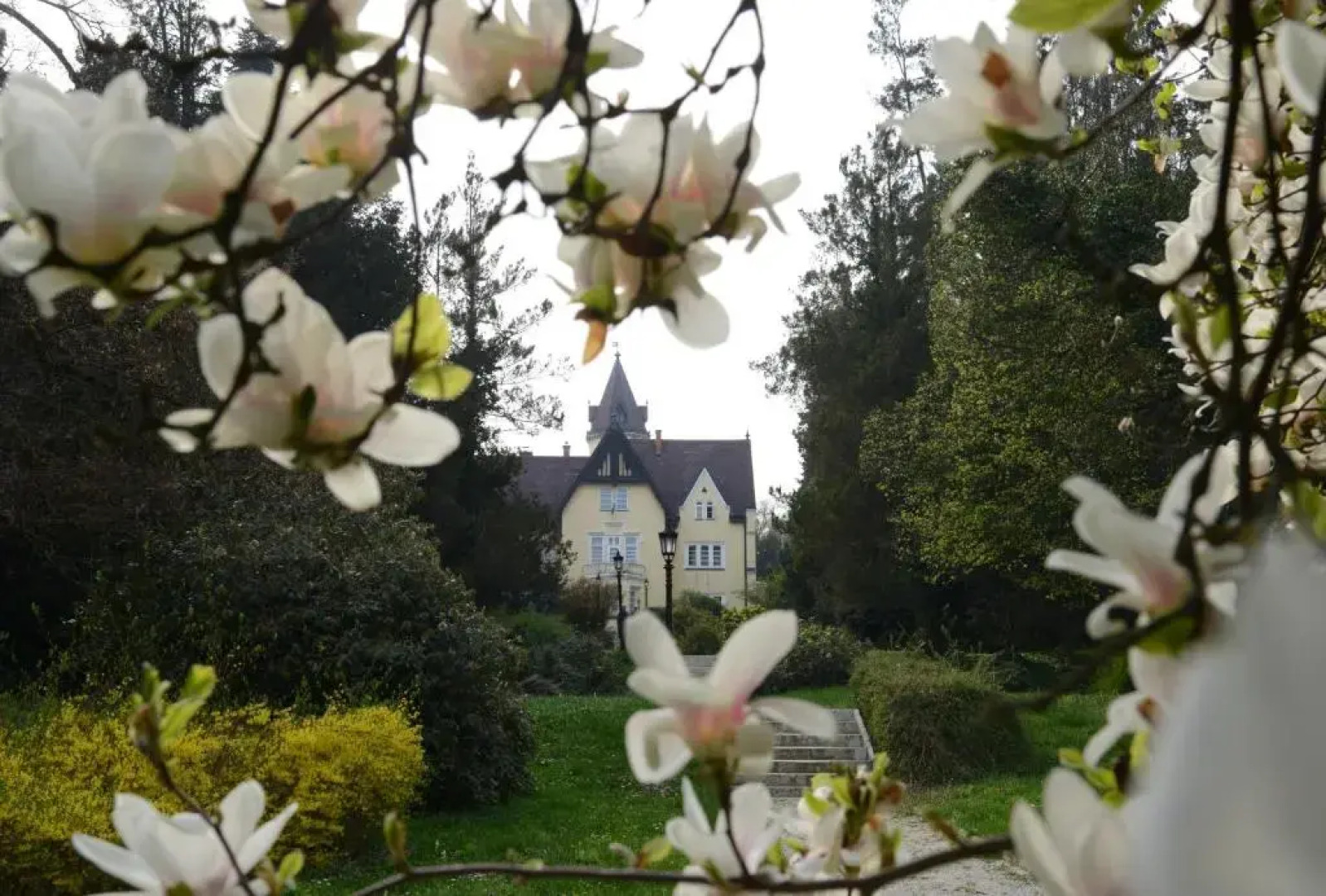 Festetich Kastélyszálló és Zsuzsanna Hotel