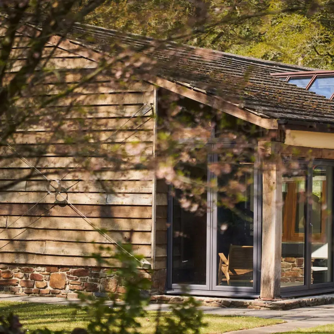 Swifts Return in Lower Ashton