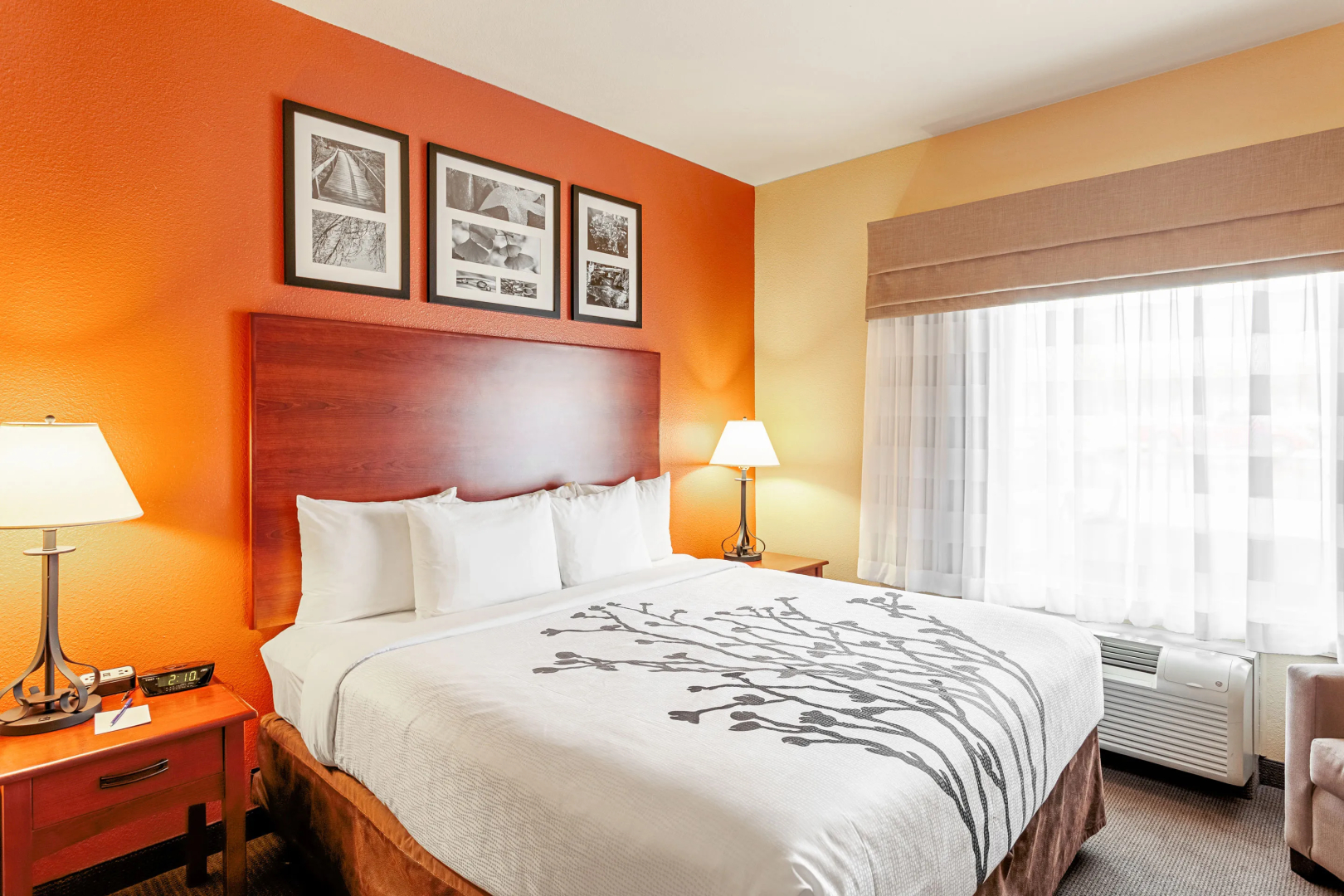 Sleep Inn & Suites Abilene Near University