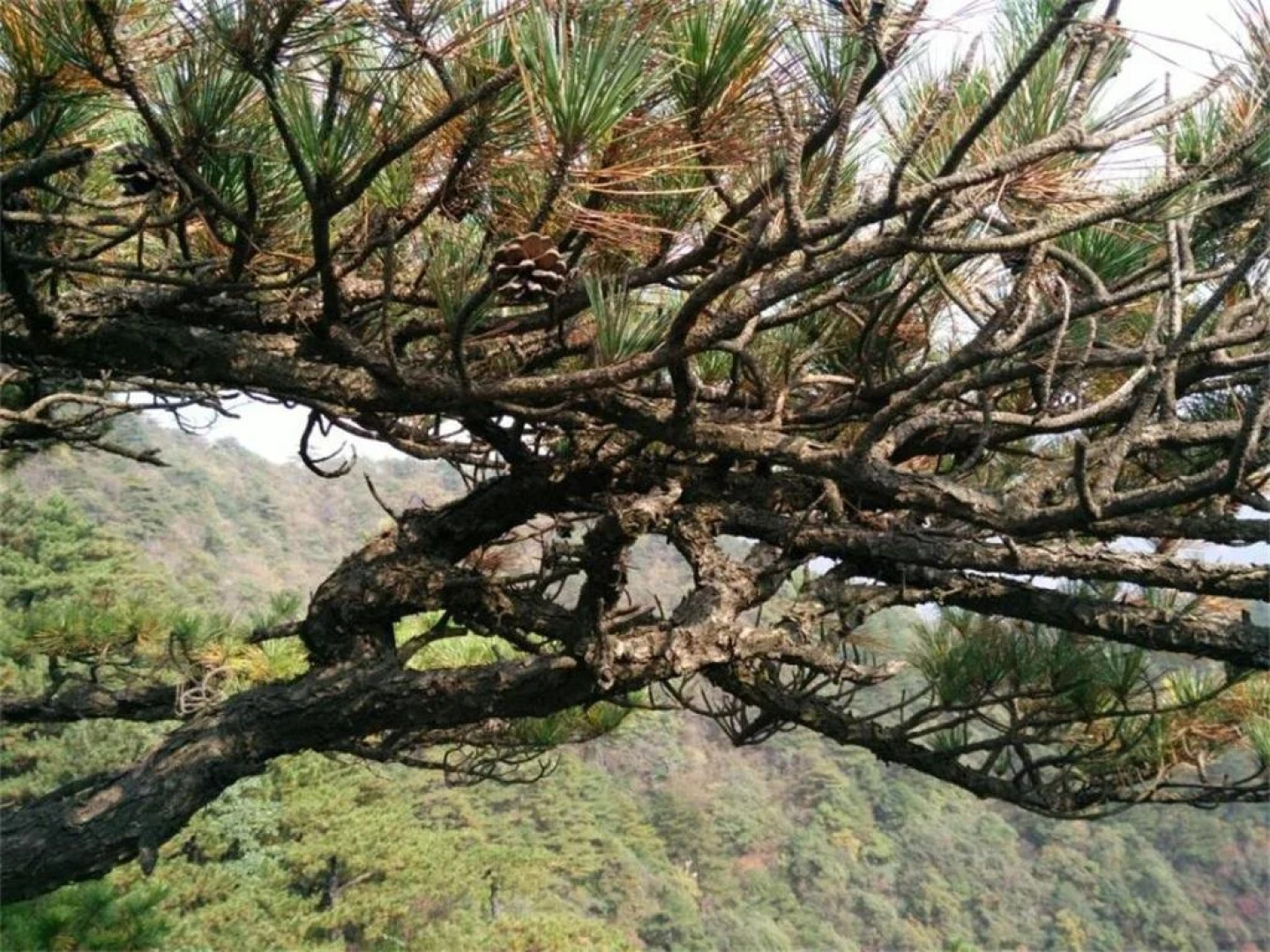 Xuancheng Jixi Enji Inn