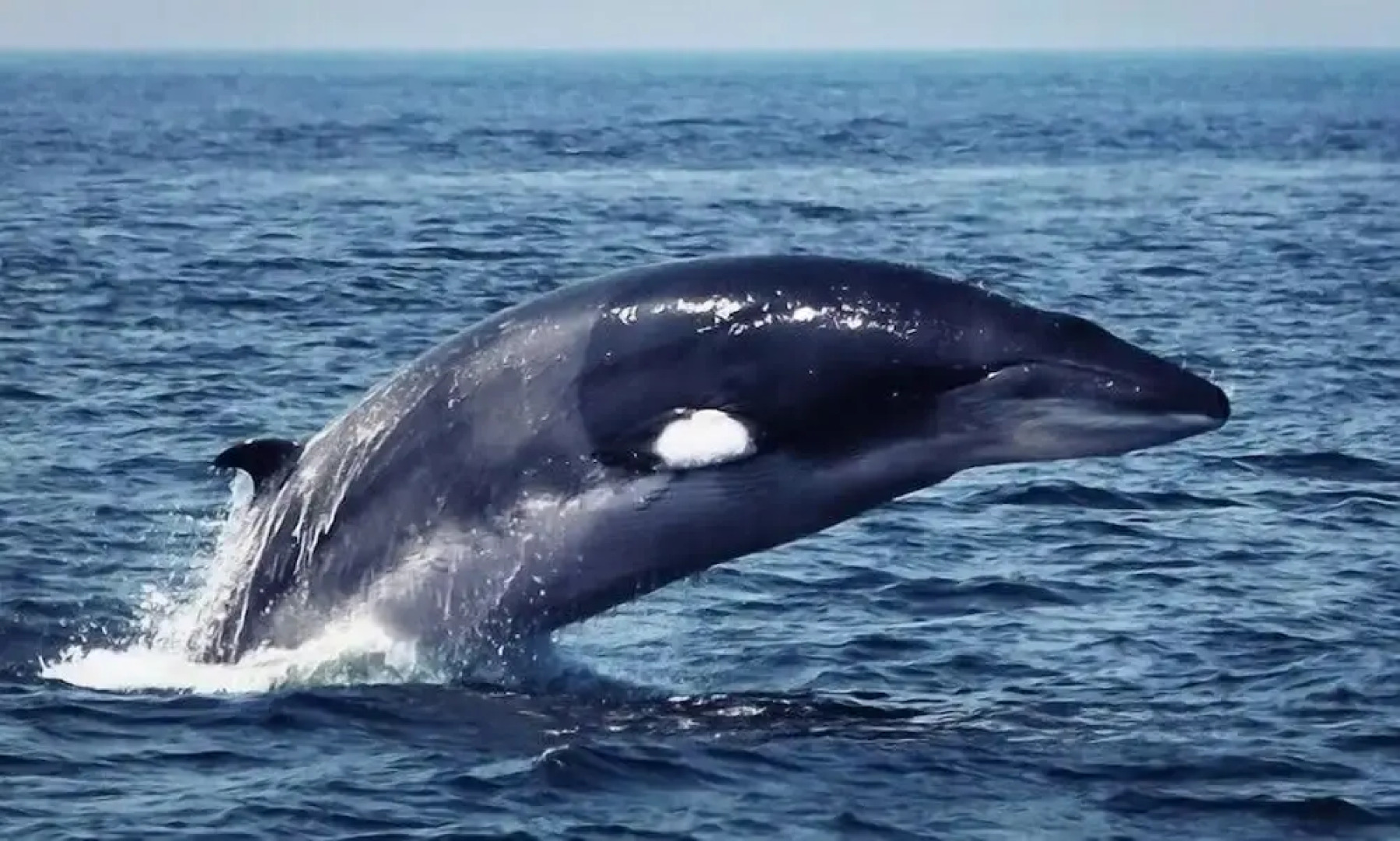 Cutwater Inn & Suites