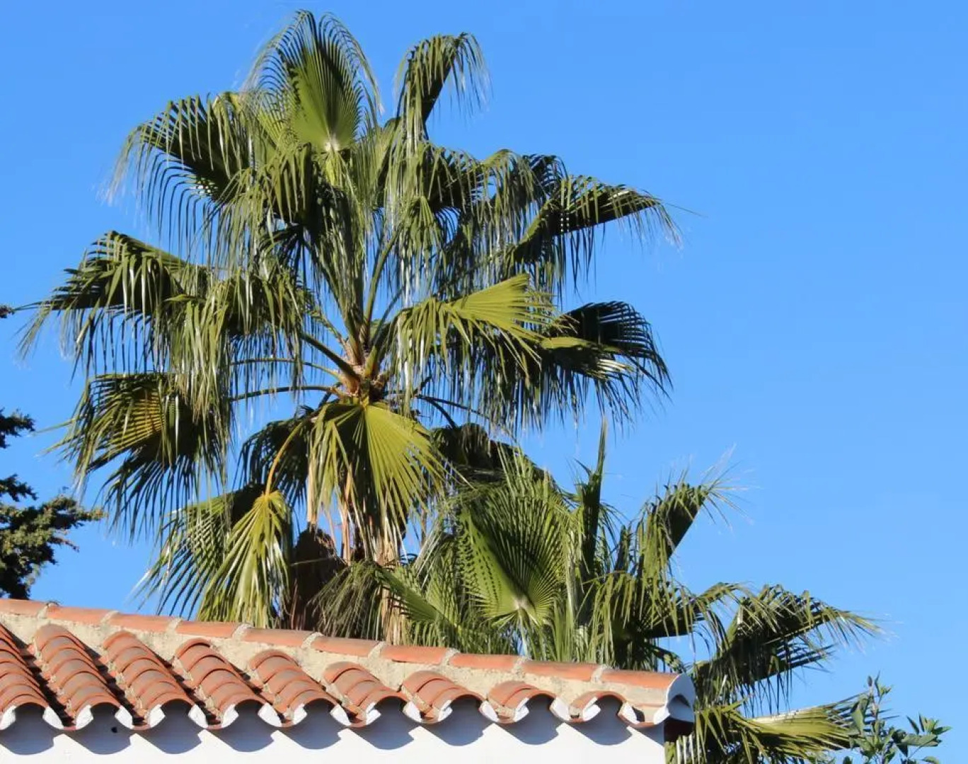 Bed And Breakfast Mirador Infinito