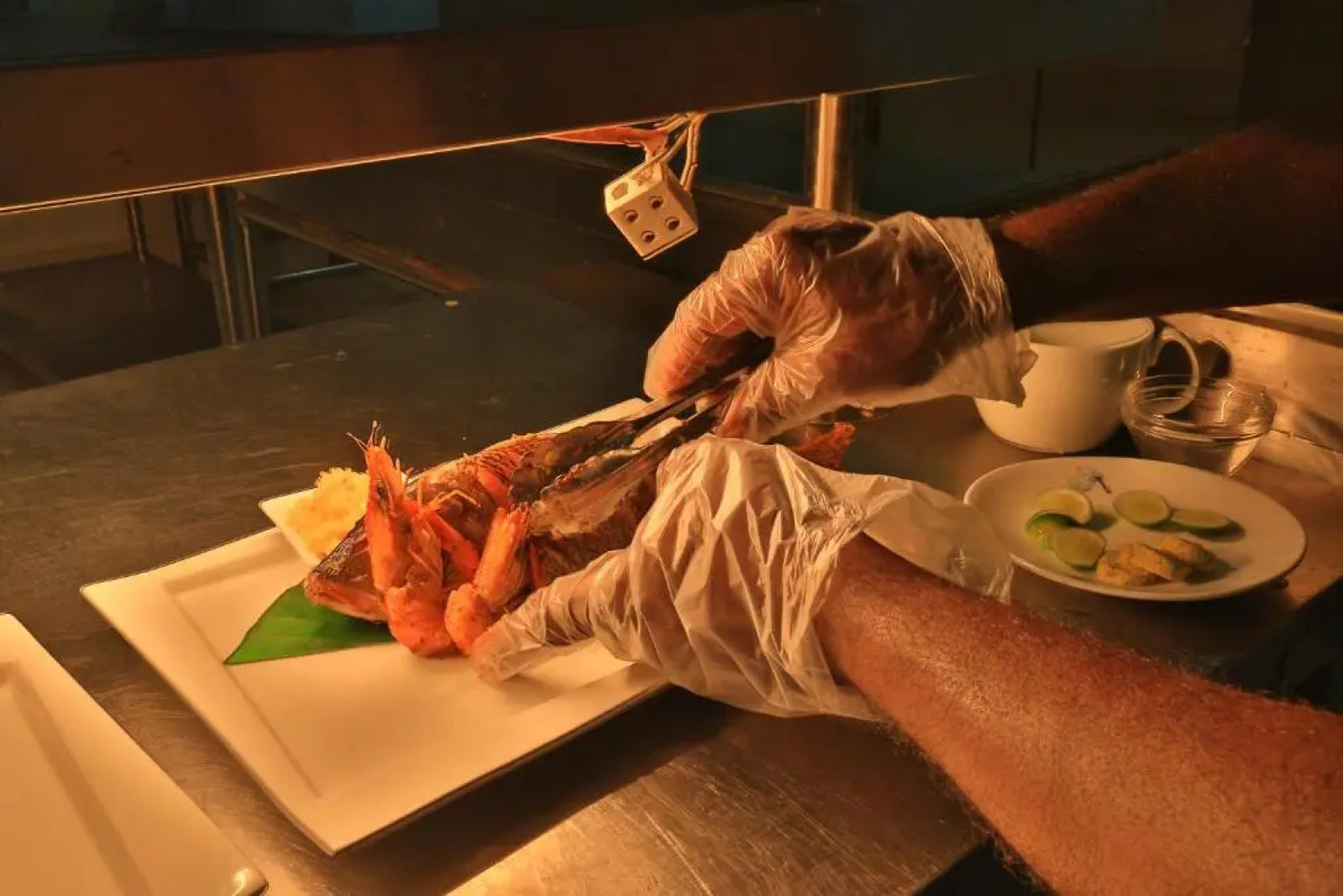 The Rainforest Ecolodge