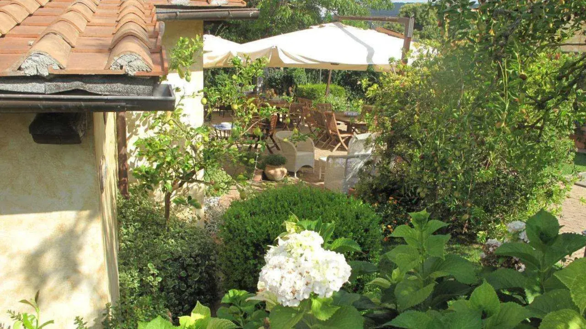 Agriturismo Podere Turicchio