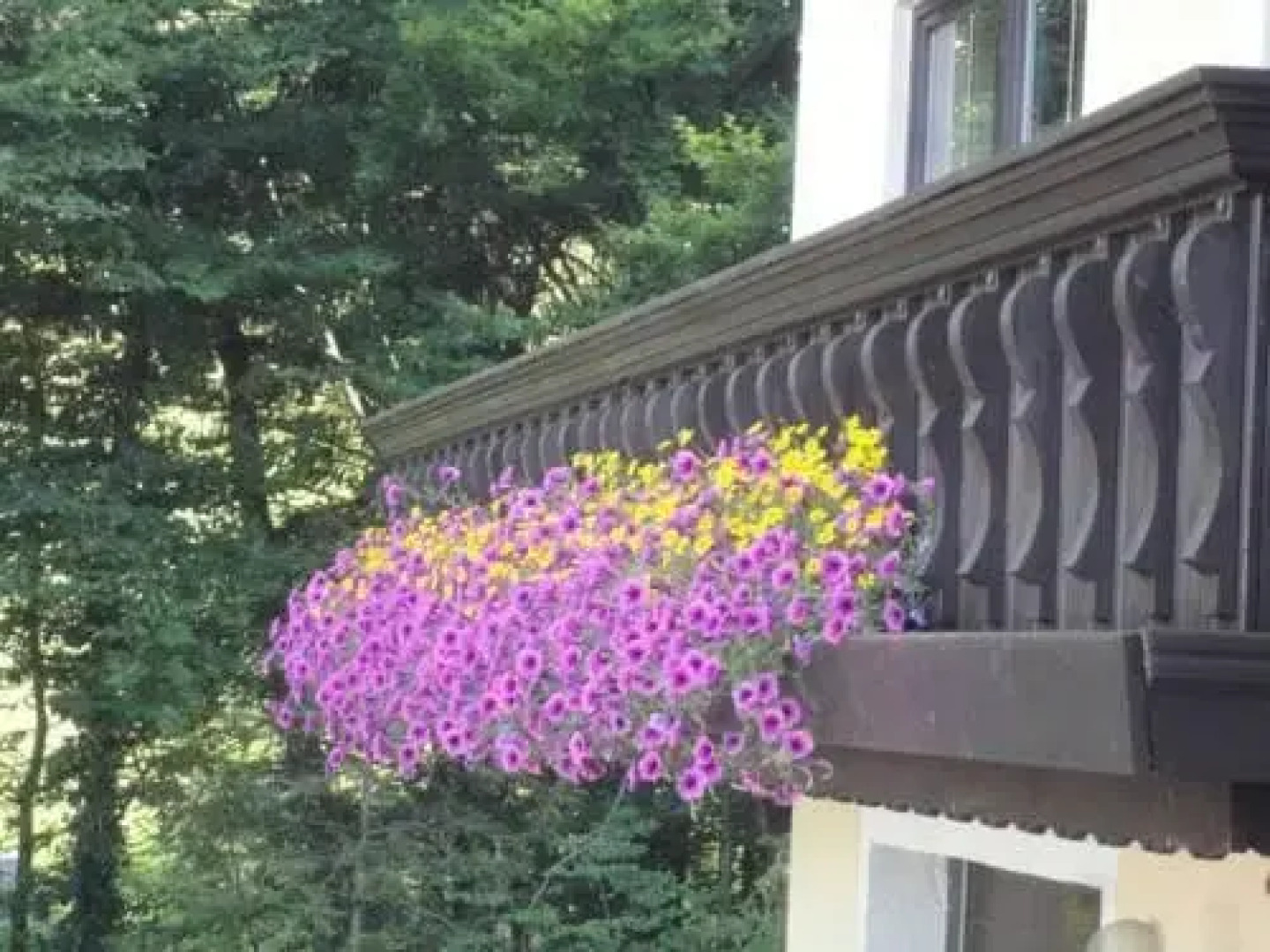 Ferienwohnungen Haus Helga am Attersee