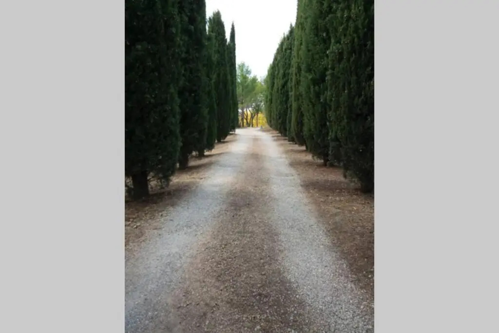 Bastide au milieu des vignes et des oliviers Aups