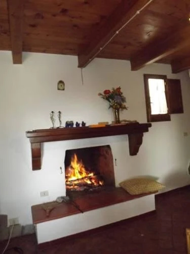 casa Viola