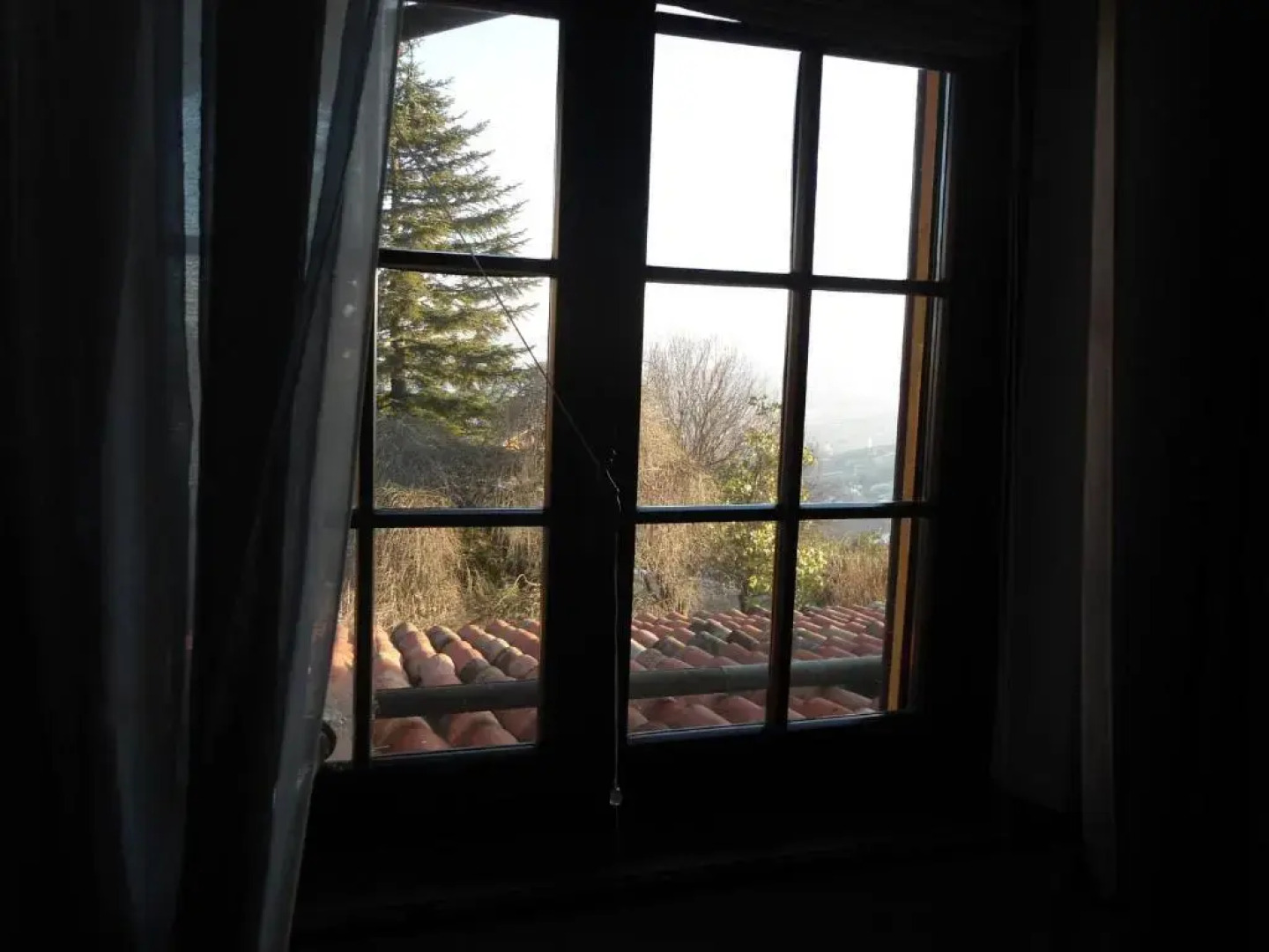 La Luna e i Falò