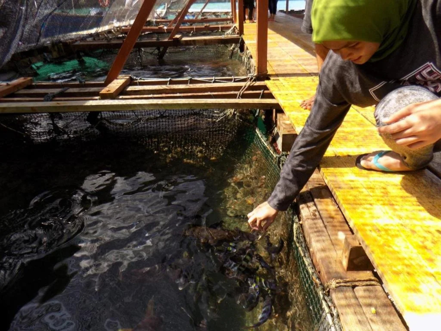 Terapung Hotel & Fish Garden
