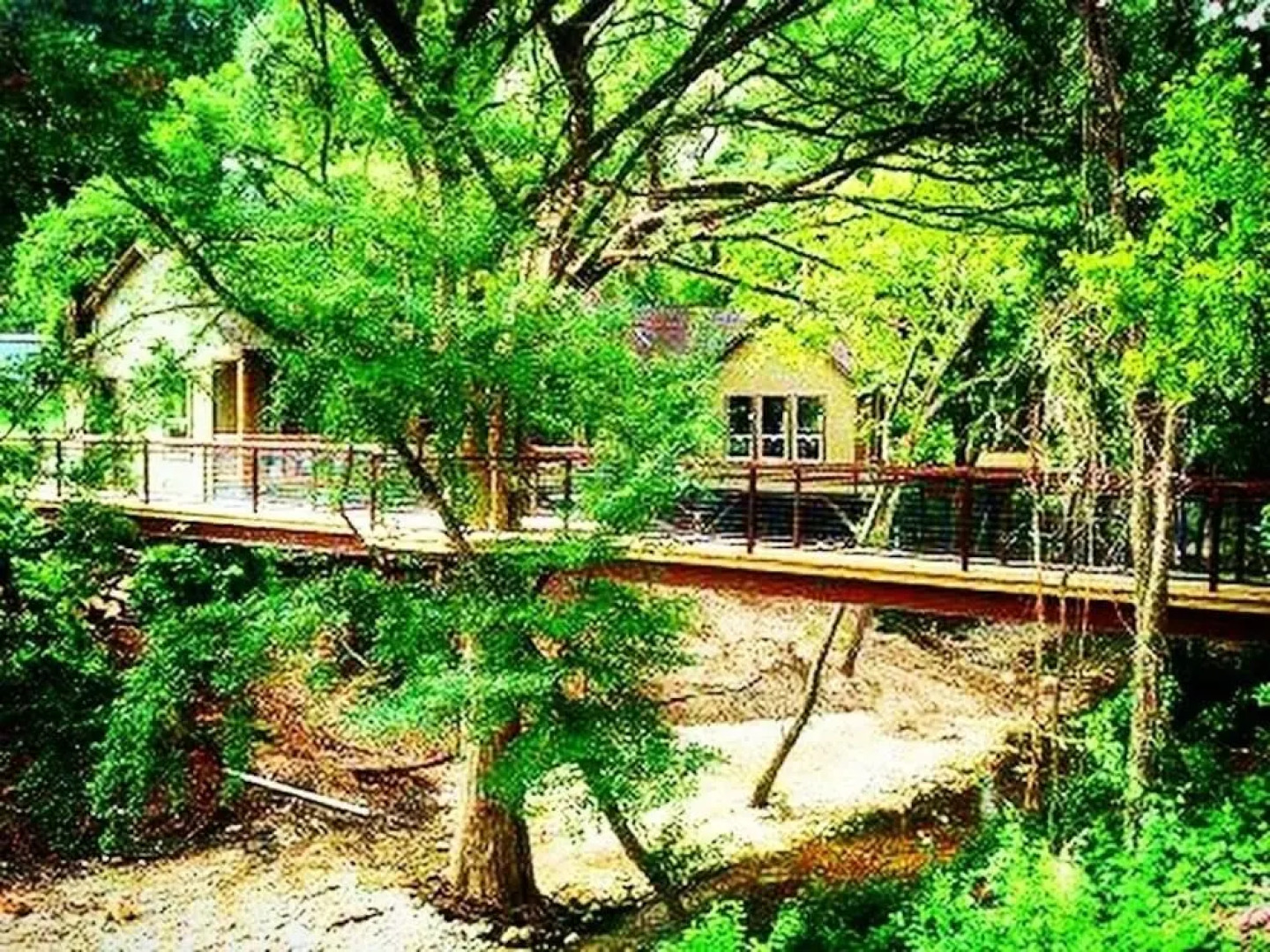 River Rd. Treehouses- Cardinal Casita 1 Bedroom 1 Bathroom Cabin