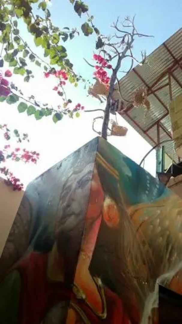 Hostel Chinchay Wasi