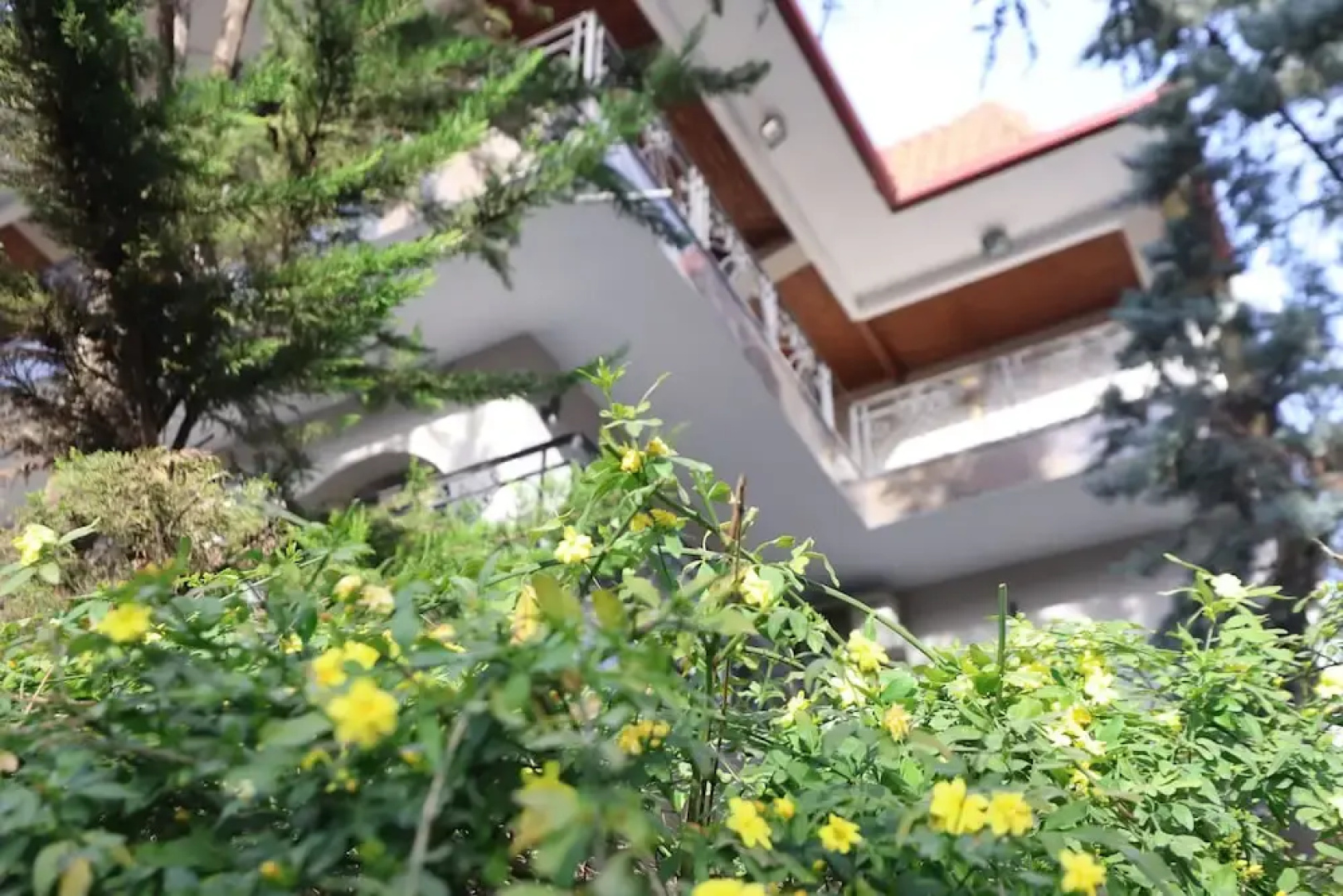 Vila Alizee Hotel