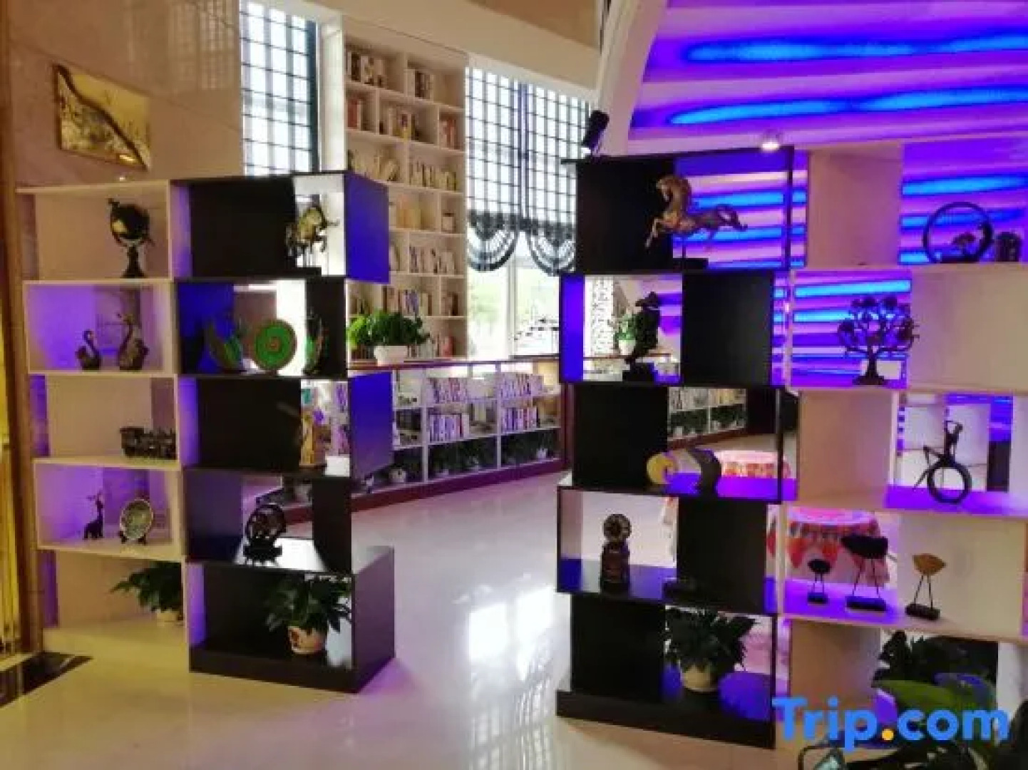 Xingtai Phoenix Hotel