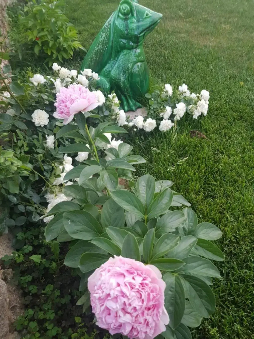 Trullo del Cavaliere