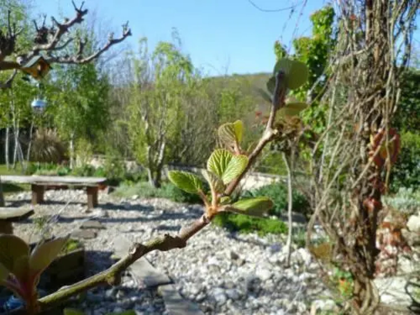 Chambre dHôtes les Buis