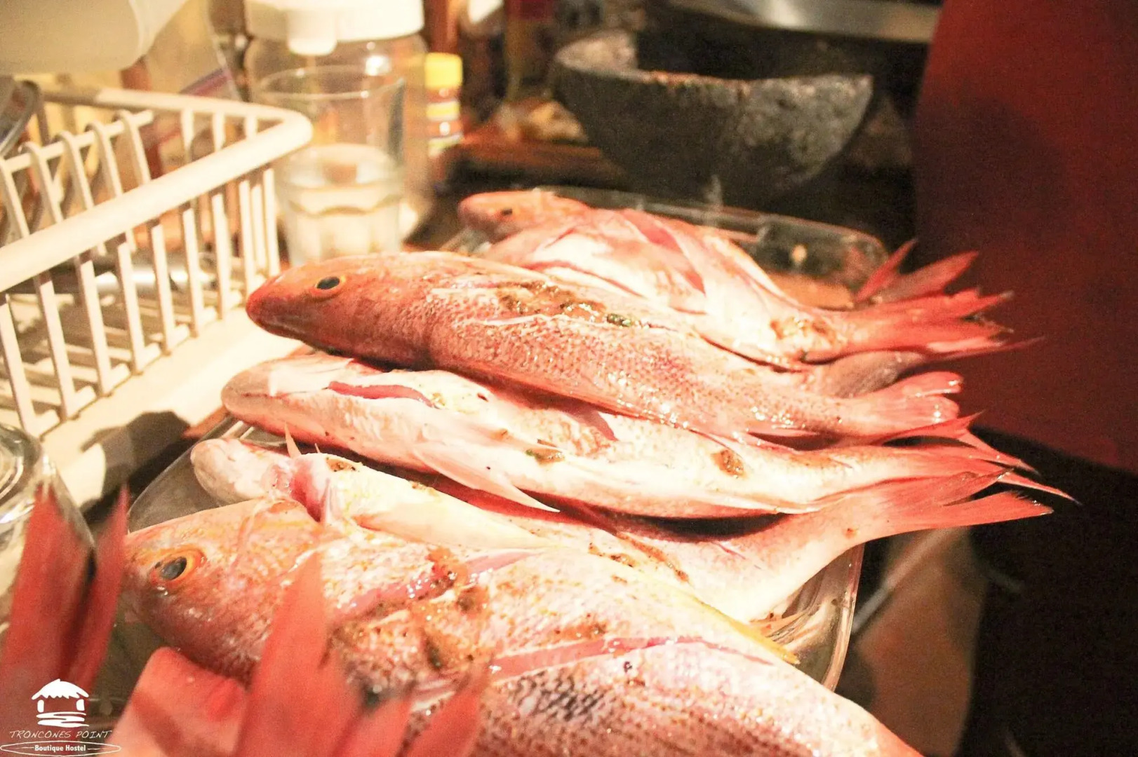 Troncones Point Hostel