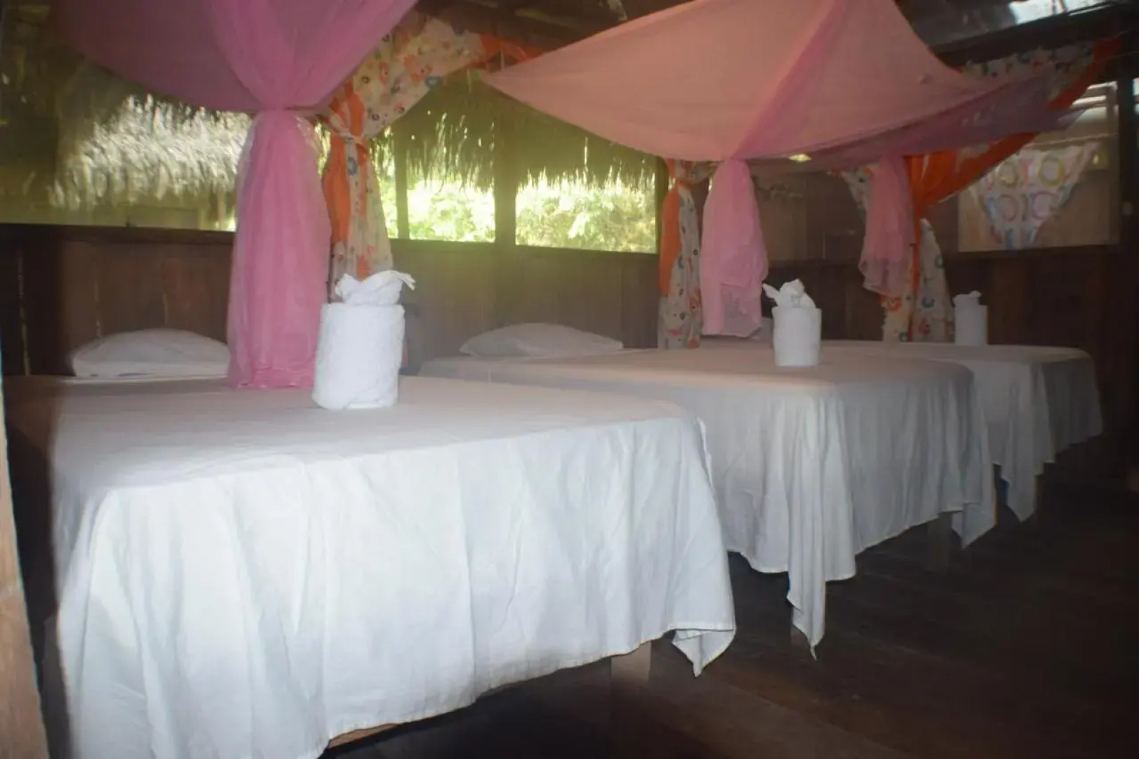 Lodge Jungle Wolf Expeditions