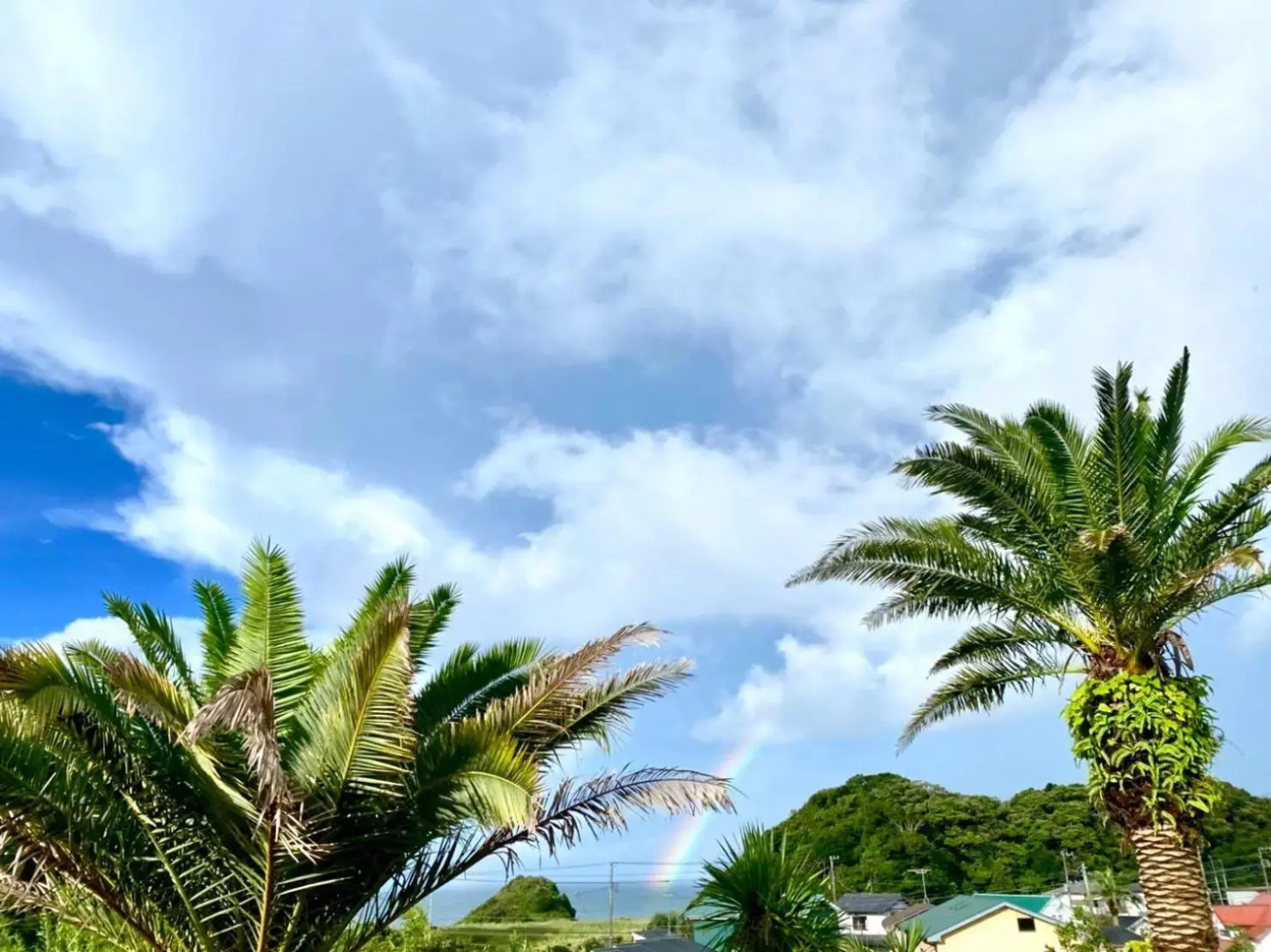 HOKULANI by the sea オーシャンビュー貸別荘プール付BBQサウナで整える