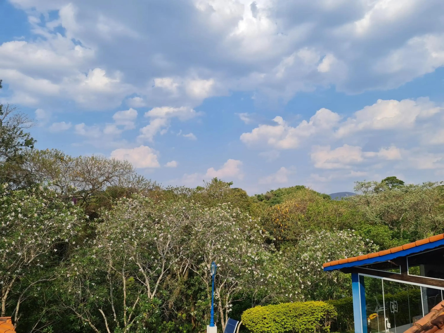 Casa Campo Tipo Fazenda