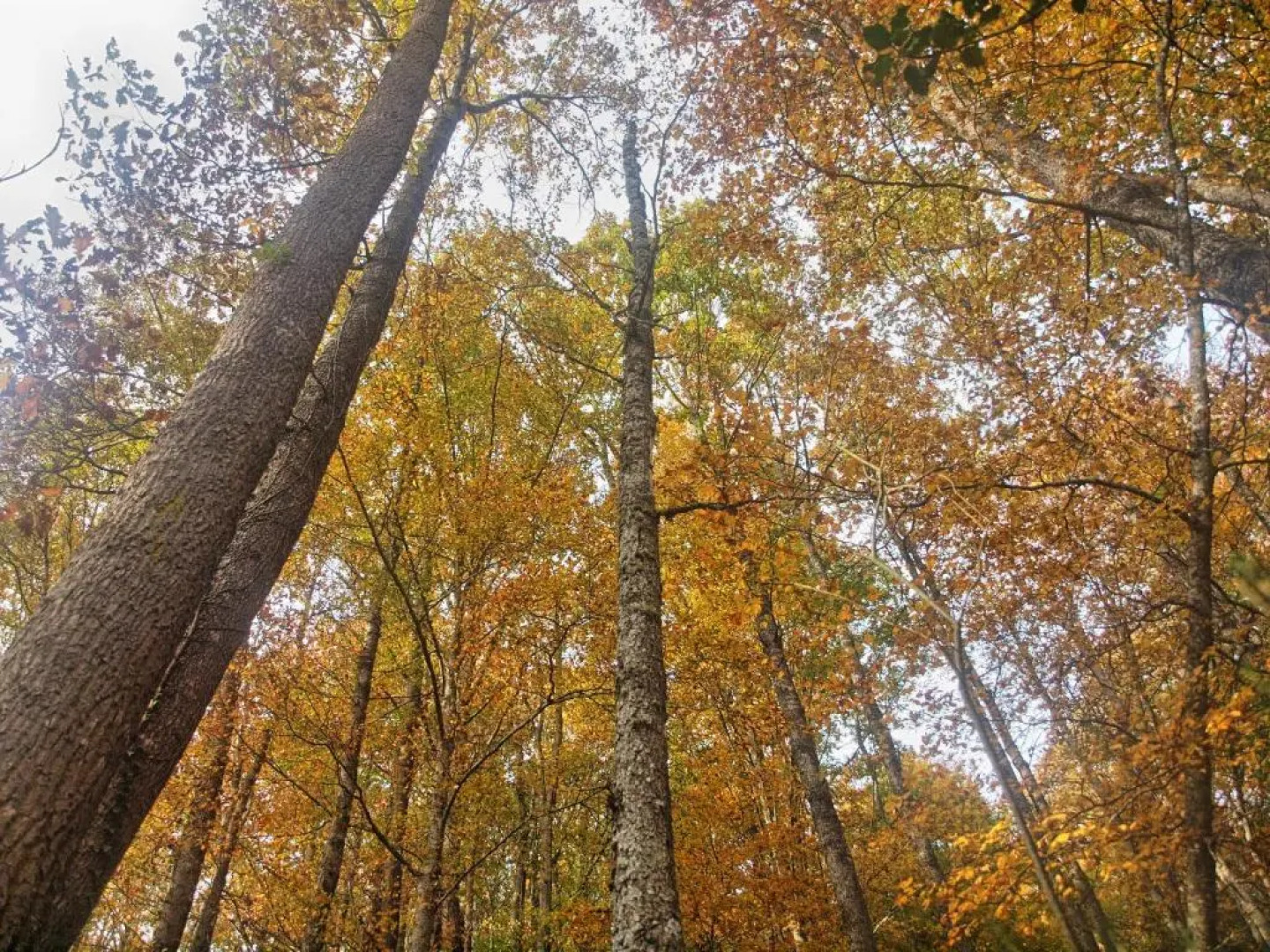 CTR La Coruja del Ebro