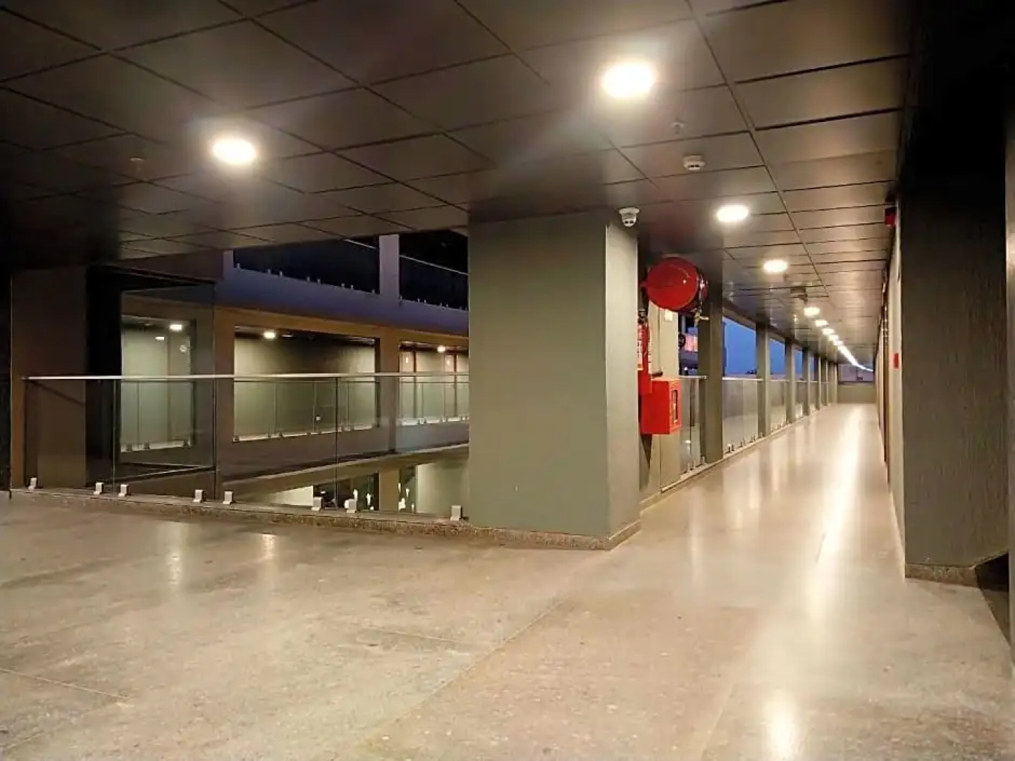 The Camellia by YUHI