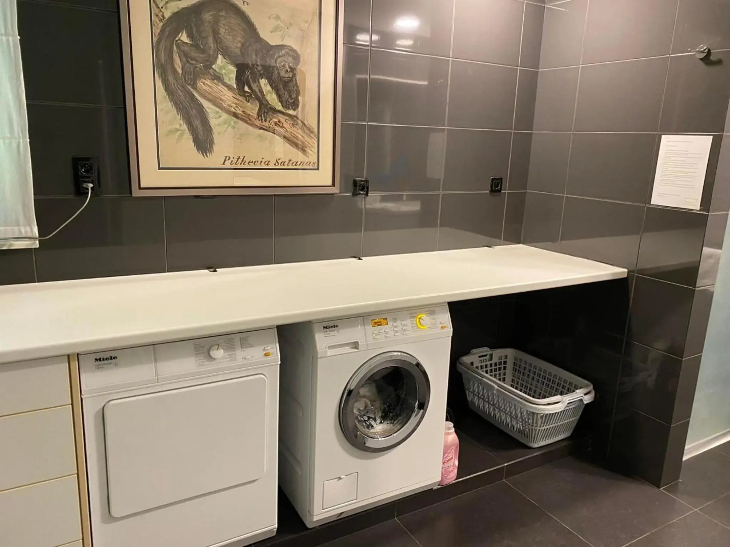 Vakantiewoning Het Wielje Maasland