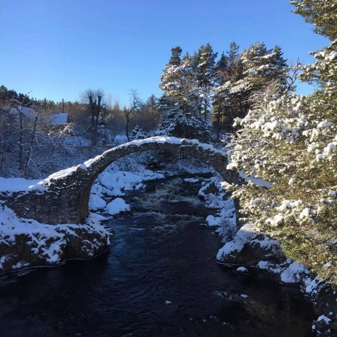 The Snug, Carrbridge